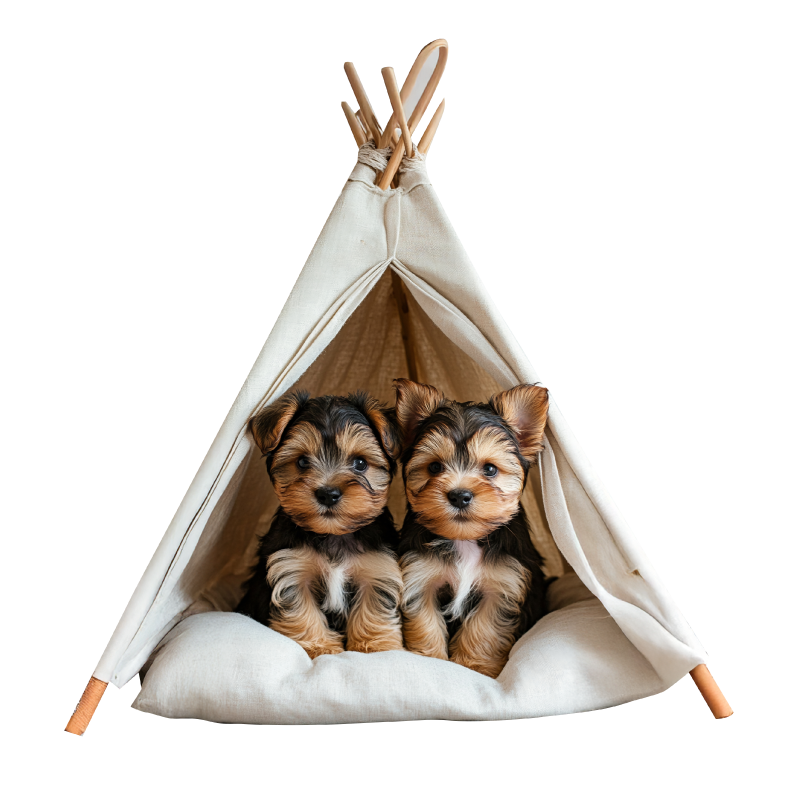 Puppy Concierge